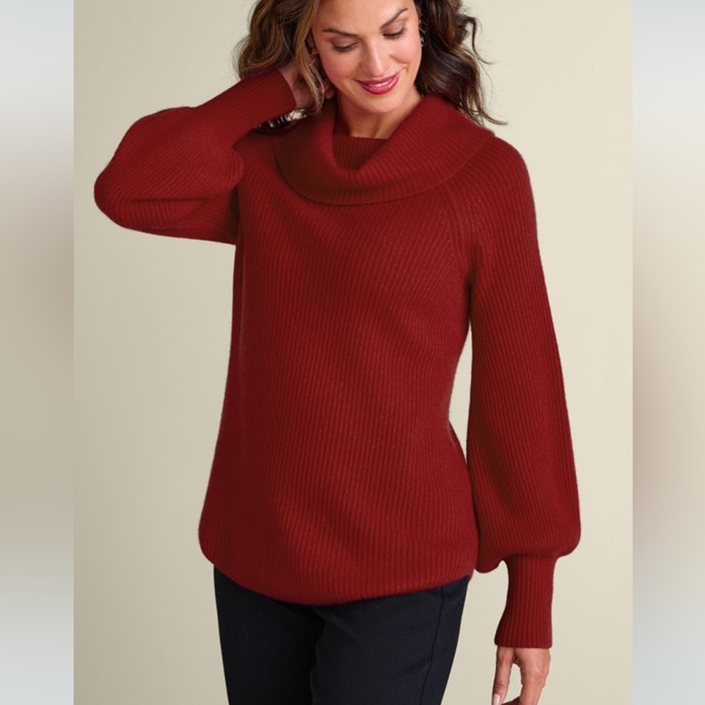 Soft Surroundings Calanthe Cashmere Sweater